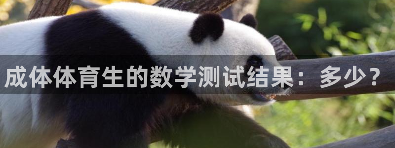 成体体育生的数学测试结果：多少？