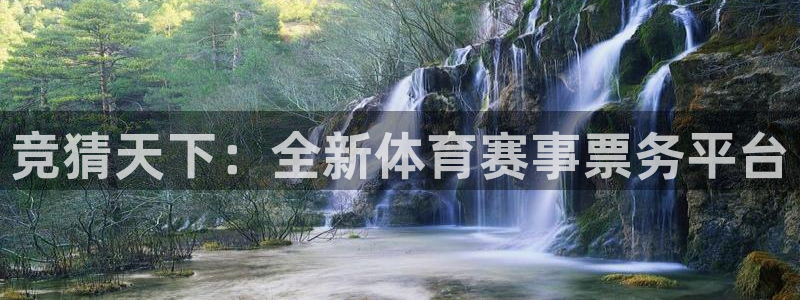 竞猜天下：全新体育赛事票务平台