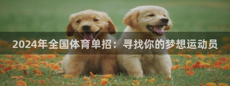 2024年全国体育单招：寻找你的梦想运动员