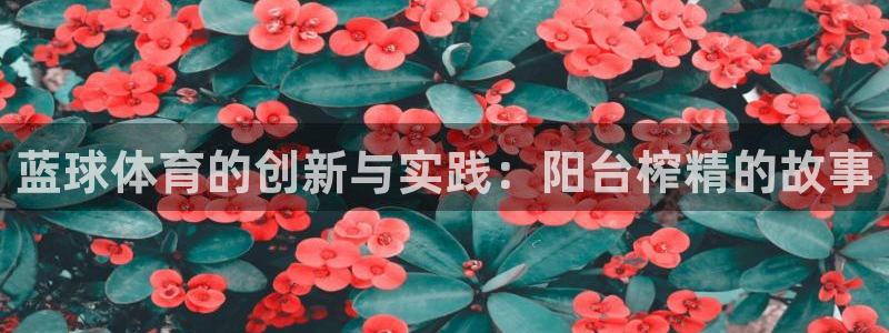 蓝球体育的创新与实践：阳台榨精的故事