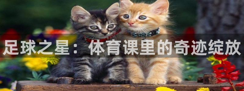 足球之星：体育课里的奇迹绽放