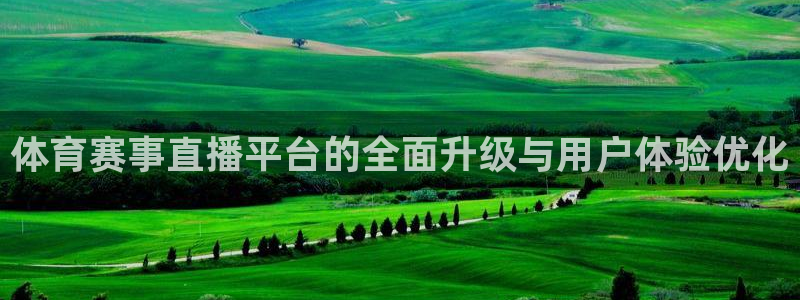 体育赛事直播平台的全面升级与用户体验优化