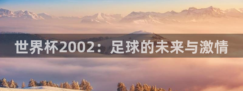 世界杯2002：足球的未来与激情