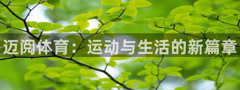 迈阅体育：运动与生活的新篇章