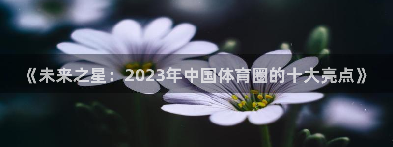 《未来之星：2023年中国体育圈的十大亮点》