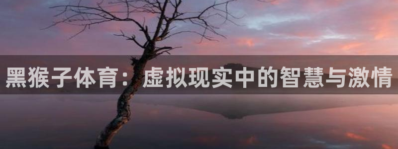黑猴子体育：虚拟现实中的智慧与激情