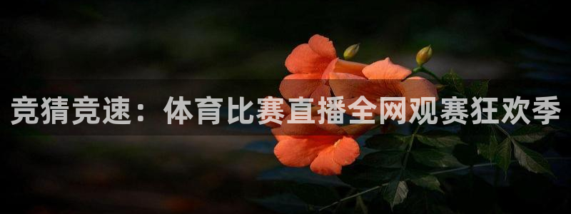 竞猜竞速：体育比赛直播全网观赛狂欢季