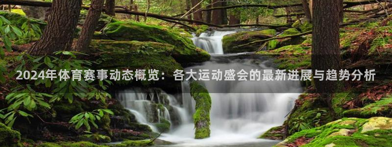 2024年体育赛事动态概览：各大运动盛会的最新进展与趋势分析