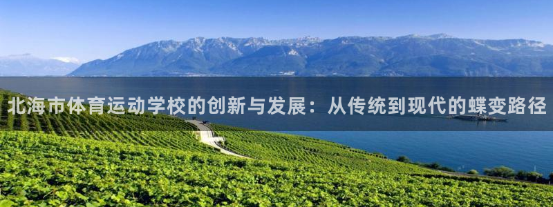 北海市体育运动学校的创新与发展：从传统到现代的蝶变路径