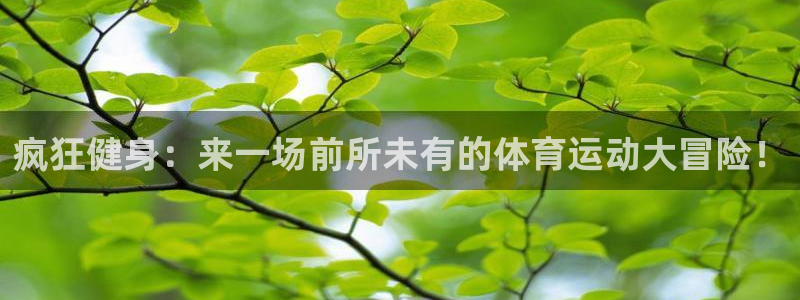 疯狂健身：来一场前所未有的体育运动大冒险！