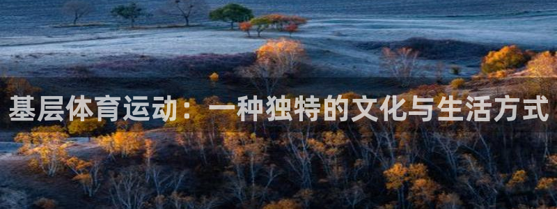 基层体育运动：一种独特的文化与生活方式
