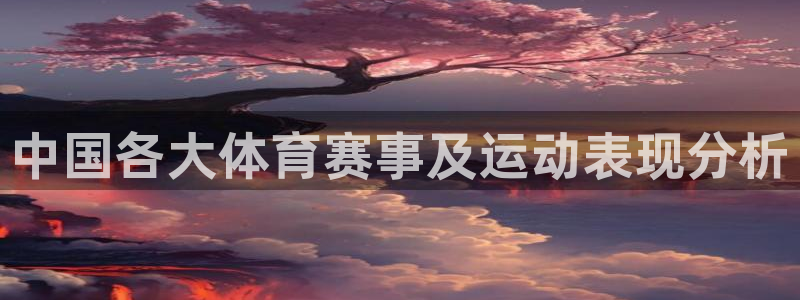 中国各大体育赛事及运动表现分析