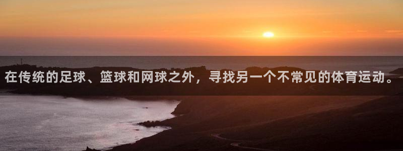 在传统的足球、篮球和网球之外，寻找另一个不常见的体育运动。