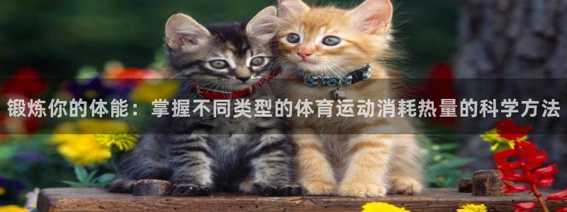 锻炼你的体能：掌握不同类型的体育运动消耗热量的科学方法