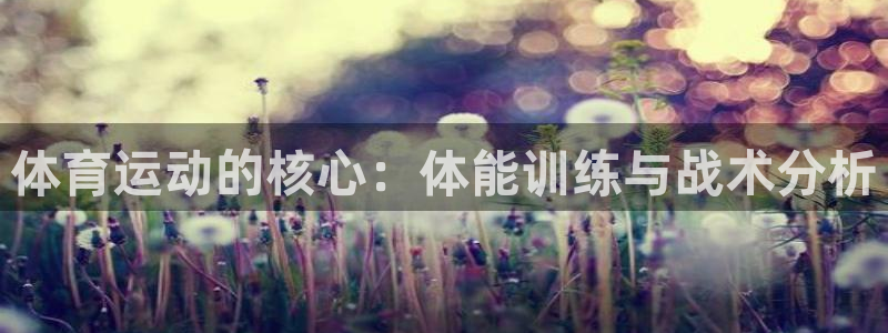 体育运动的核心：体能训练与战术分析