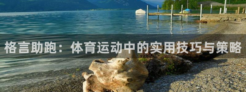 格言助跑：体育运动中的实用技巧与策略