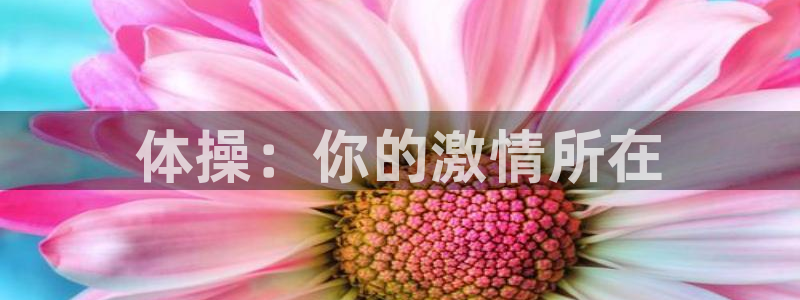 体操：你的激情所在