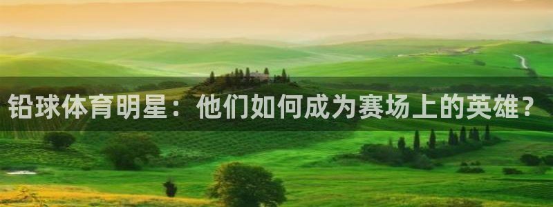 铅球体育明星：他们如何成为赛场上的英雄？