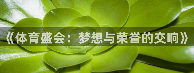 《体育盛会：梦想与荣誉的交响》