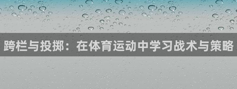 跨栏与投掷：在体育运动中学习战术与策略