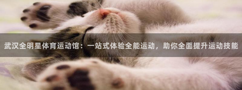 武汉全明星体育运动馆：一站式体验全能运动，助你全面提升运动技能
