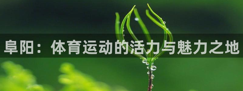 阜阳：体育运动的活力与魅力之地