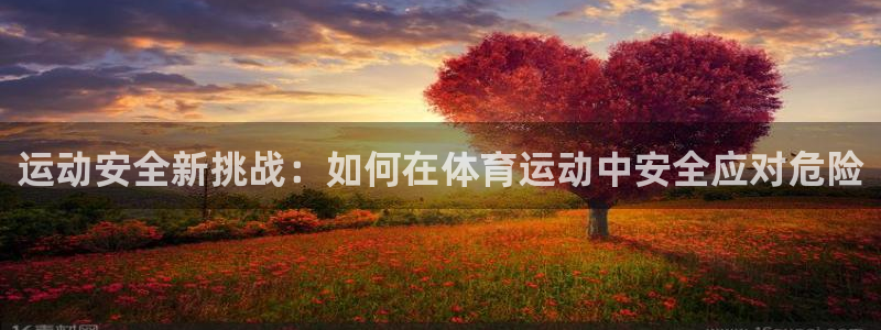 运动安全新挑战：如何在体育运动中安全应对危险