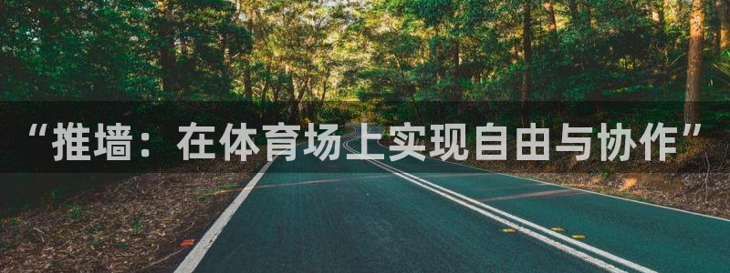 “推墙：在体育场上实现自由与协作”