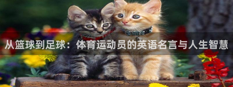 从篮球到足球：体育运动员的英语名言与人生智慧