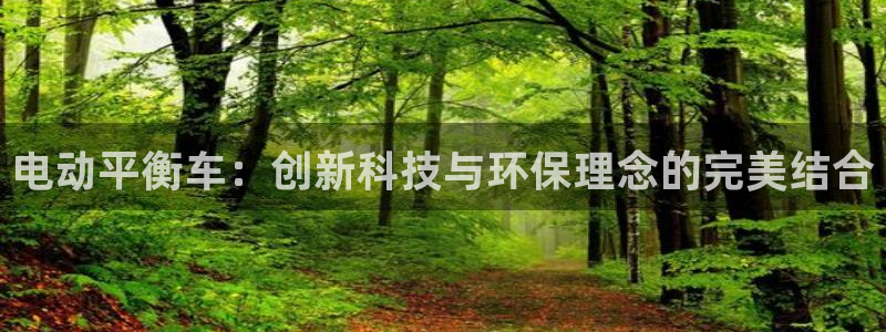 电动平衡车：创新科技与环保理念的完美结合
