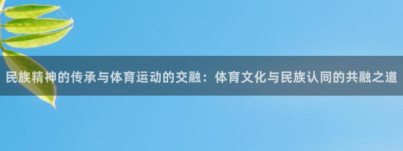 民族精神的传承与体育运动的交融：体育文化与民族认同的共融之道