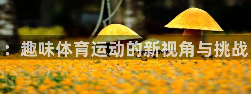 ：趣味体育运动的新视角与挑战
