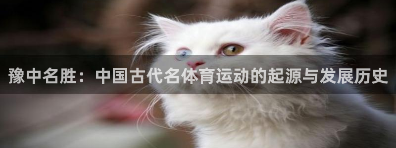 豫中名胜：中国古代名体育运动的起源与发展历史