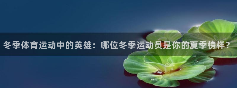 冬季体育运动中的英雄：哪位冬季运动员是你的夏季榜样？