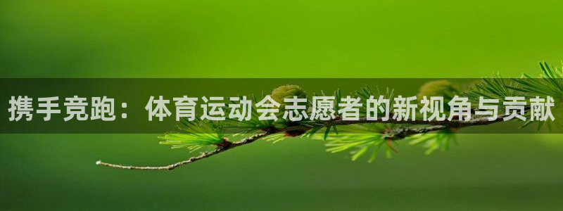 携手竞跑：体育运动会志愿者的新视角与贡献
