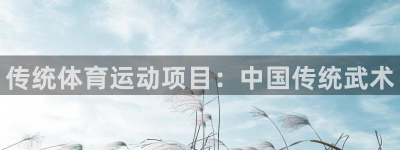 传统体育运动项目：中国传统武术