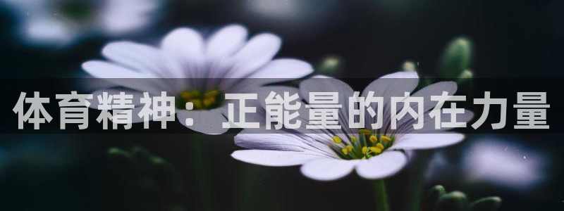 体育精神：正能量的内在力量