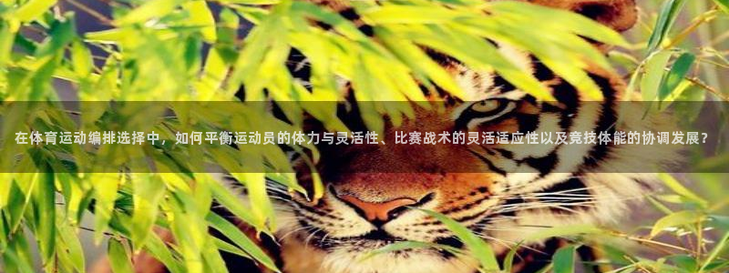 在体育运动编排选择中，如何平衡运动员的体力与灵活性、比赛战术的灵活适应性以及竞技体能的协调发展？