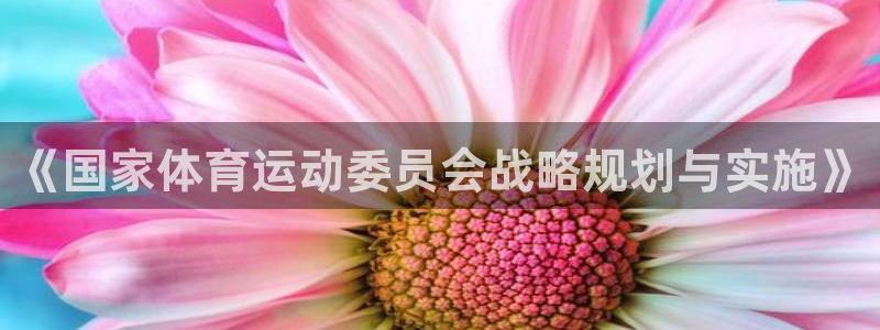 《国家体育运动委员会战略规划与实施》