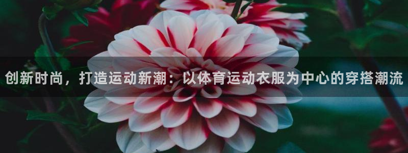 创新时尚，打造运动新潮：以体育运动衣服为中心的穿搭潮流