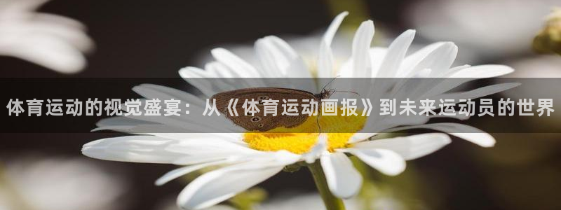 体育运动的视觉盛宴：从《体育运动画报》到未来运动员的世界
