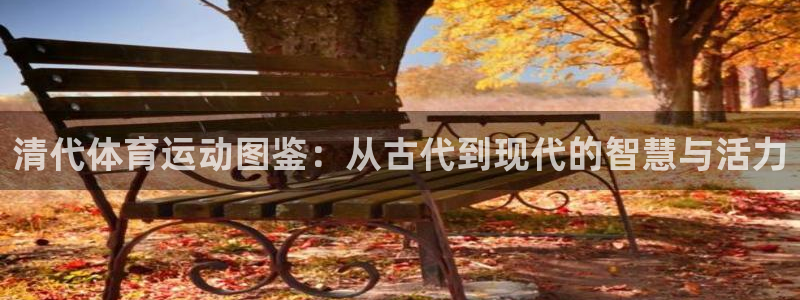 清代体育运动图鉴：从古代到现代的智慧与活力