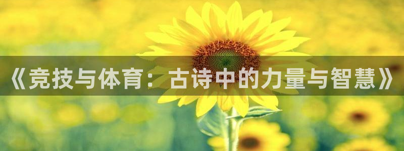 《竞技与体育：古诗中的力量与智慧》