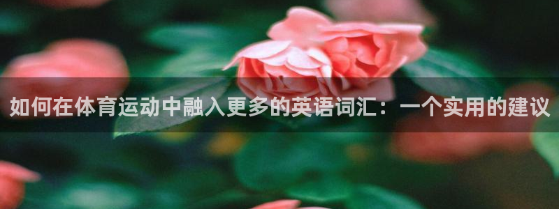 如何在体育运动中融入更多的英语词汇：一个实用的建议