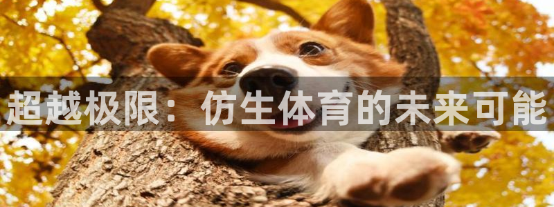 超越极限：仿生体育的未来可能