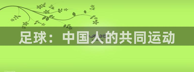足球：中国人的共同运动