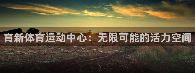 育新体育运动中心：无限可能的活力空间