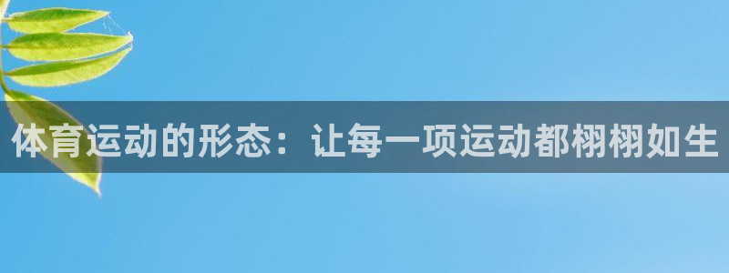 体育运动的形态：让每一项运动都栩栩如生