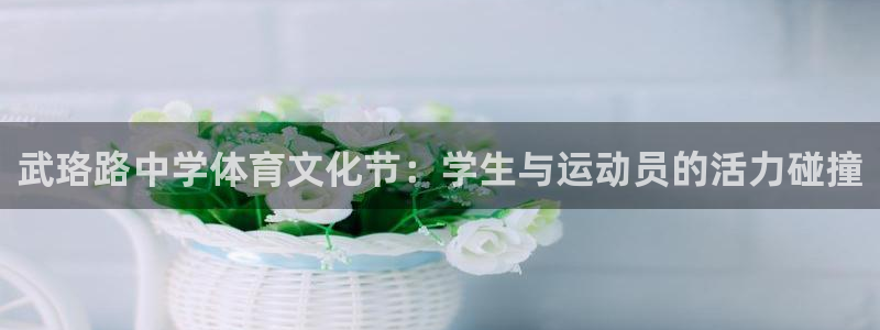 武珞路中学体育文化节：学生与运动员的活力碰撞