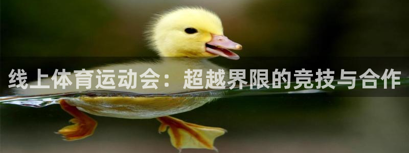 线上体育运动会：超越界限的竞技与合作